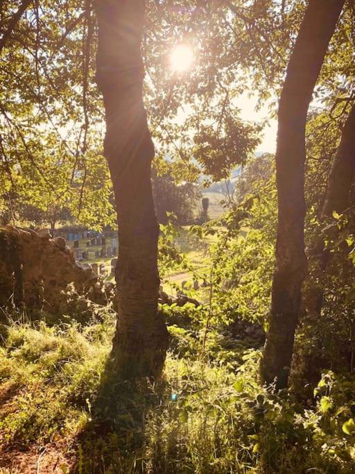 'Wardlaw View' Luxury Studio Apartment With Stunning View Kirkhill Eksteriør bilde